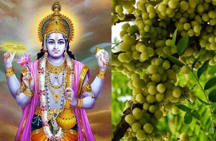 Aamlaki Ekadashi