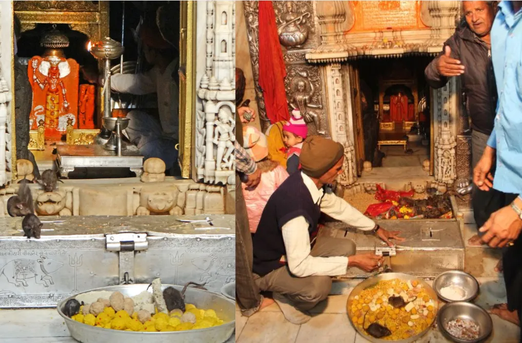 Karni Mata Mandir