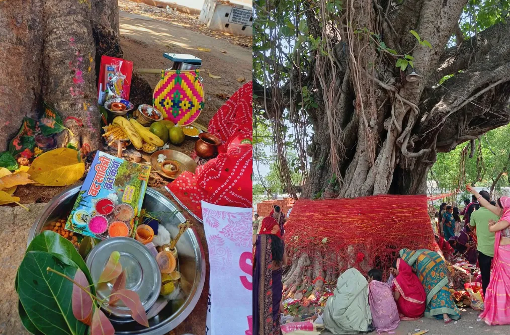 Vat Savitri Puja Vidhi