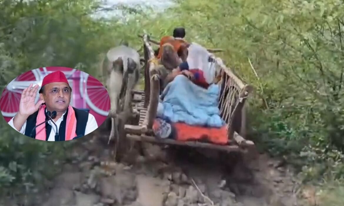Akhilesh took a jibe at the pregnant woman being taken to the hospital by bullock cart, said - the ambulance turned into a 'bull'
