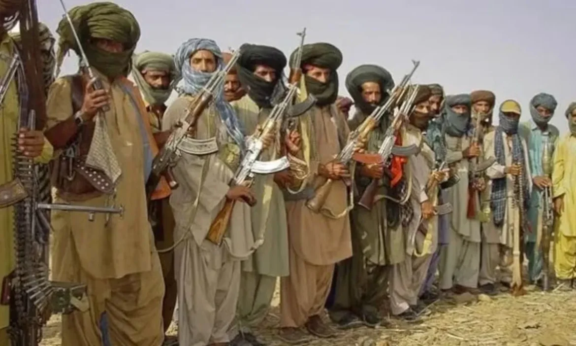 Pakistani court sentences two BRA members to 31-31 years imprisonment
