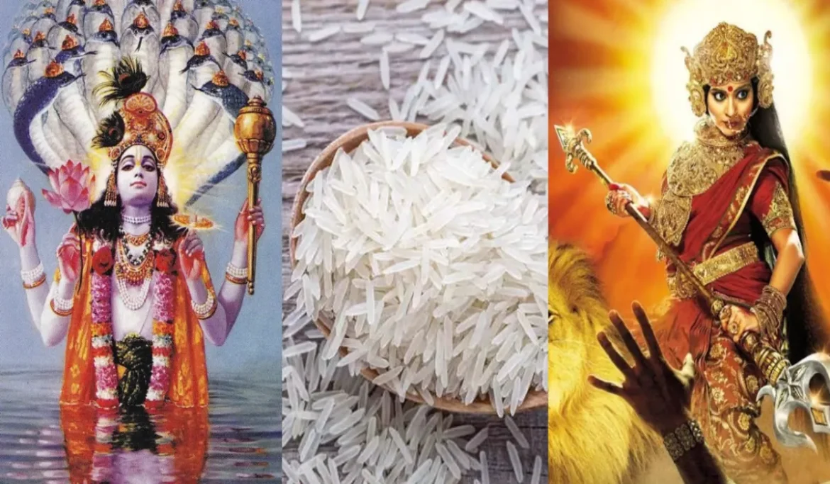 If you eat rice on Ekadashi, it will be as sinful as eating meat! Know what science and mythology say
