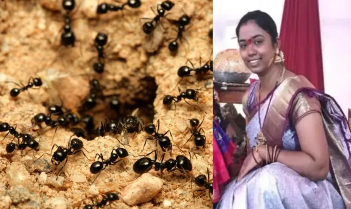 Hanged due to fear of ants, wrote in suicide note - Be careful baby, this case will surprise you
