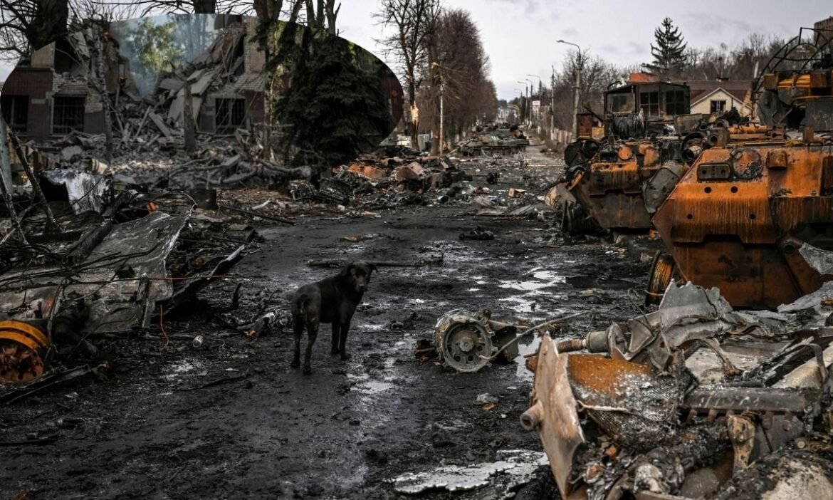 Russia's havoc continues in Odessa, Ukraine
