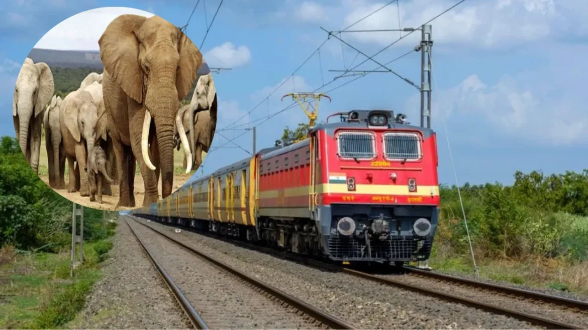 असम में राजधानी एक्सप्रेस से टकराकर से 8 हाथियों की मौत