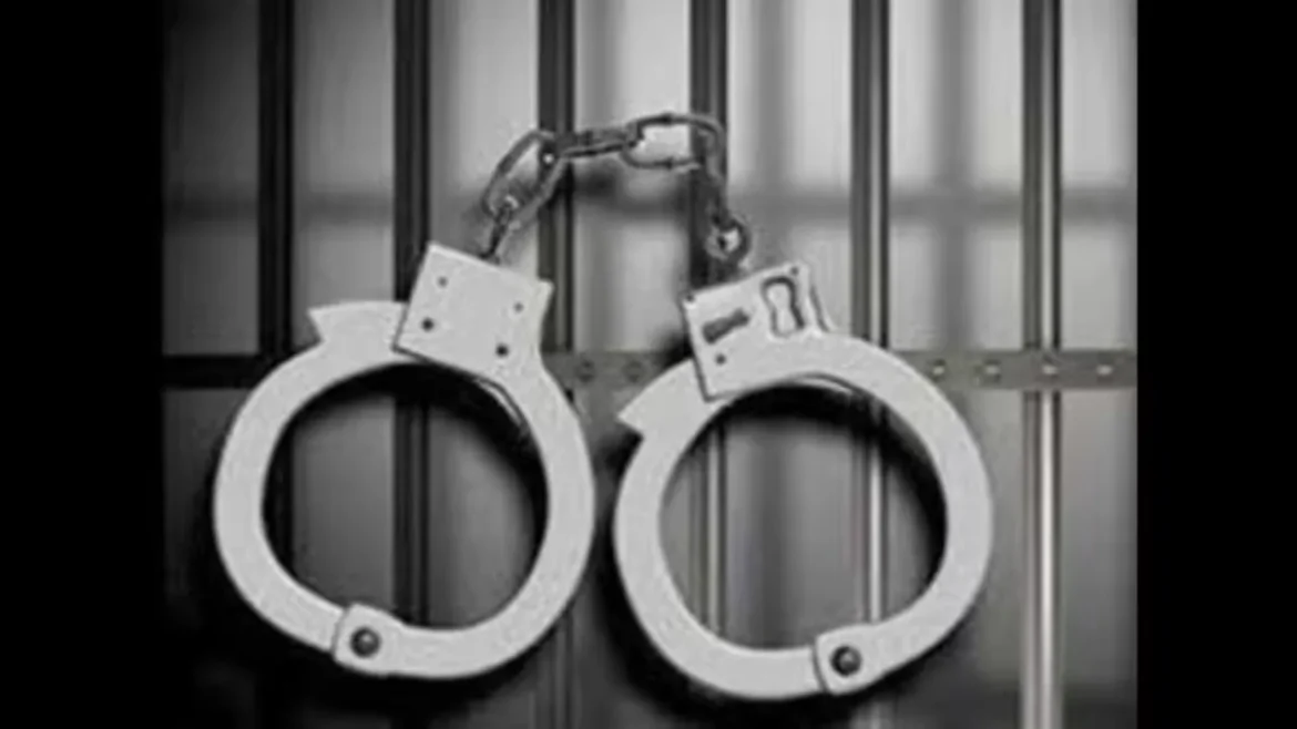 फर्जी महिला राजनयिक को किया गिरफ्तार