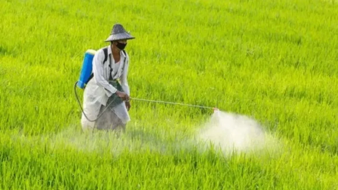 मोदी सरकार जल्द लाएगी नया बीज और कीटनाशक कानून
