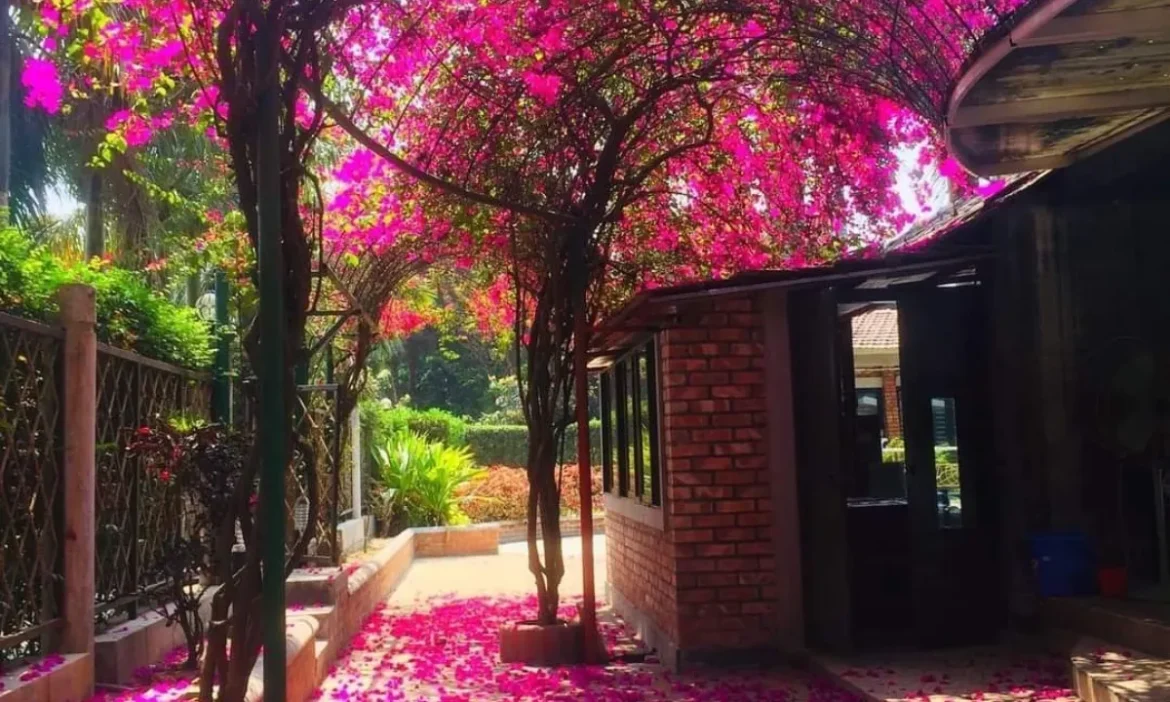 अब भी Garden City है सिलिकॉन वैली, ये है पूरा ट्रेवल गाइड