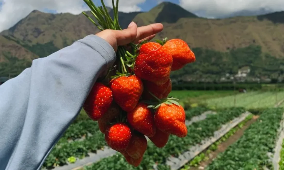 इस हसीन वादी में है मीठा एहसास