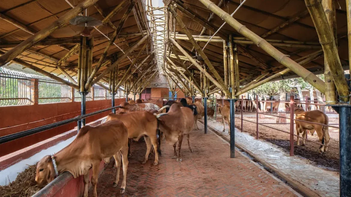 UP में बने 7500 से ज्यादा गोआश्रय स्थल