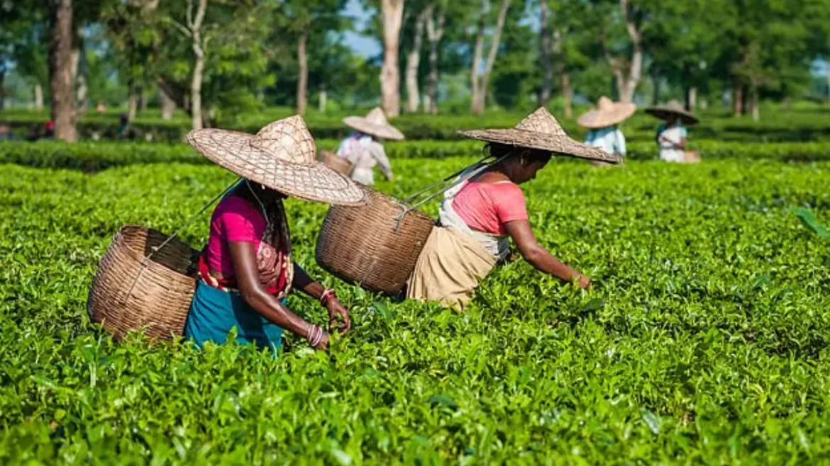 महिला श्रमिकों और बच्चों के कल्याण पर जोर