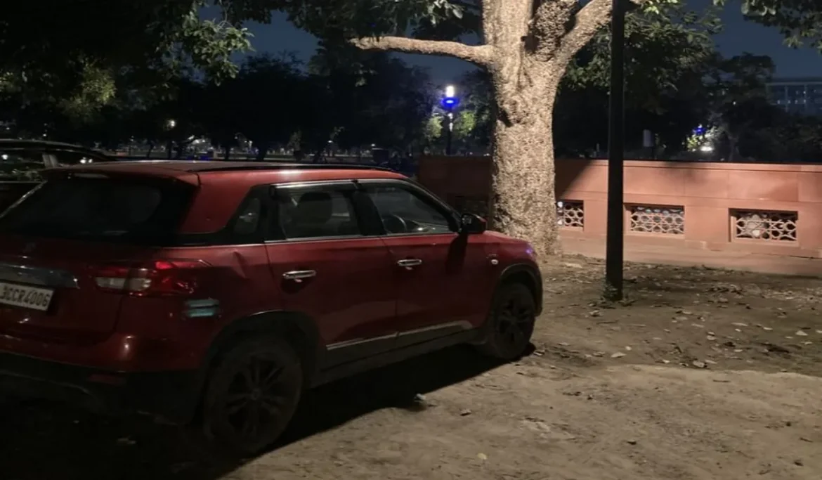 कार के अंदर मिला चचेरे भाइयों का शव