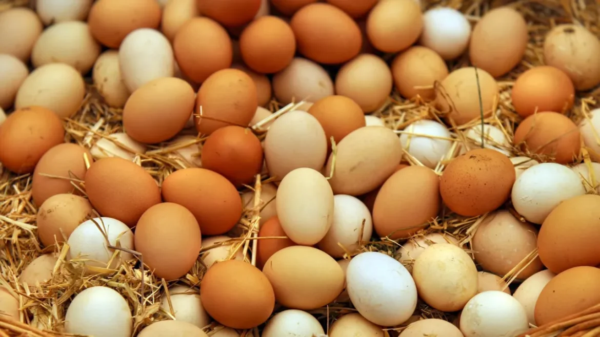 UP में अब अंडों पर भी 'एक्सपायरी डेट'