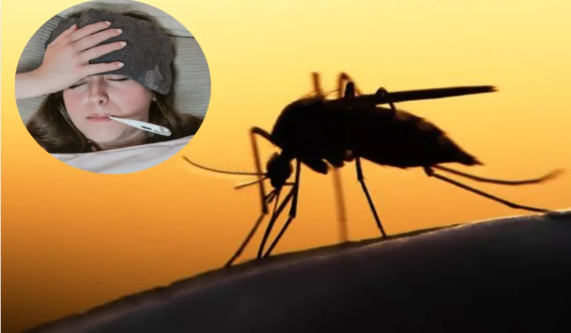 ये 5 लक्षण दिखें तो तुरंत कराएं टेस्ट