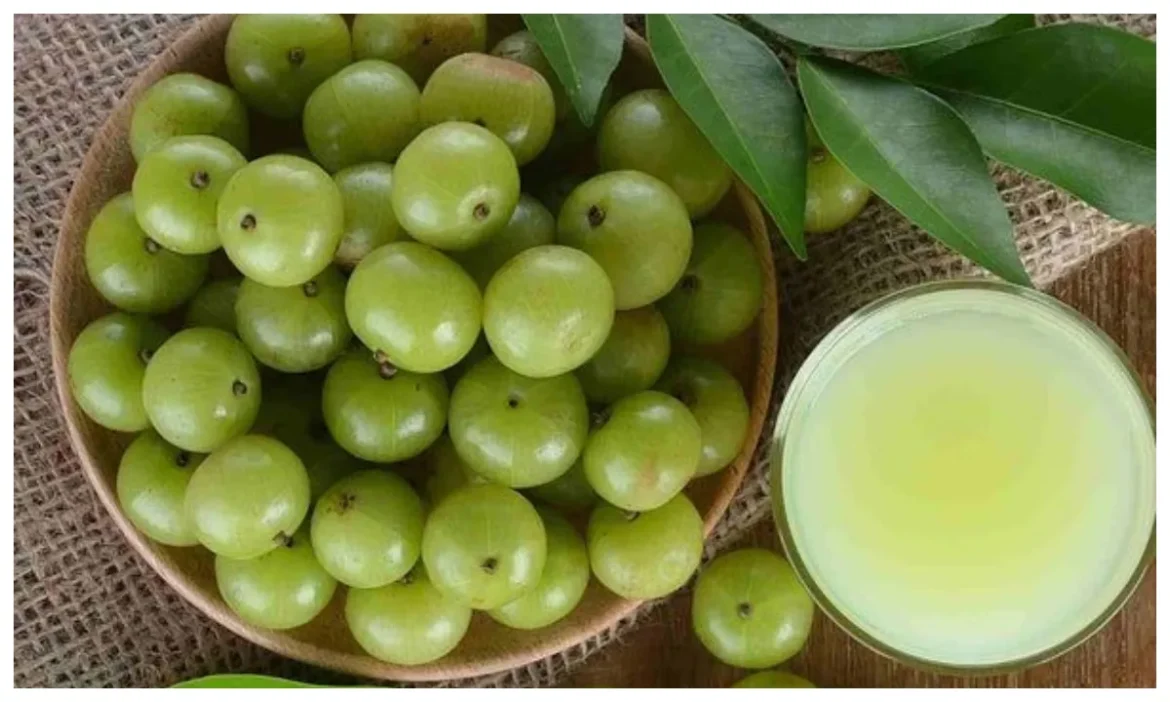 जानें भारत के किस राज्य को कहते हैं Amla का महाराज