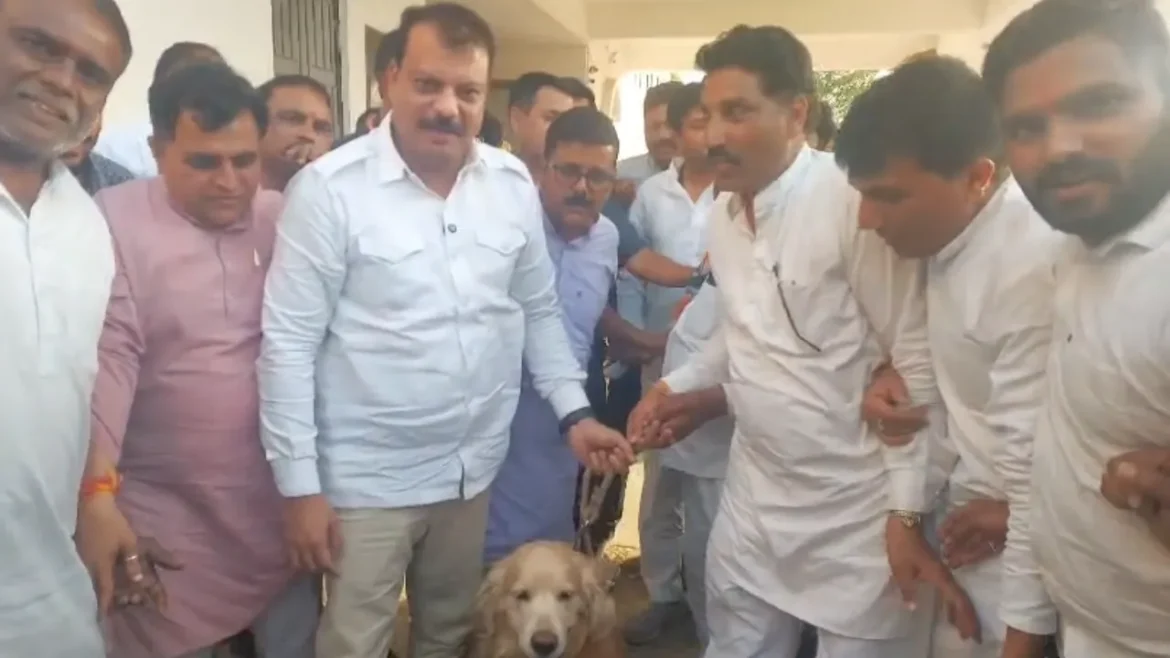 MP में गेहूं खरीद पर मचा घमासान