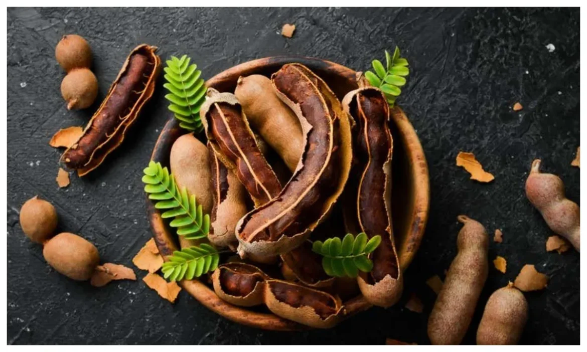 भारत के इस राज्य में होती है सबसे ज्यादा Tamarind की पैदावार