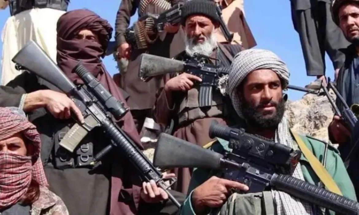 Pak-Afghan Tension:पाक ने अफगान में 800 आतंकियों को ढेर किया