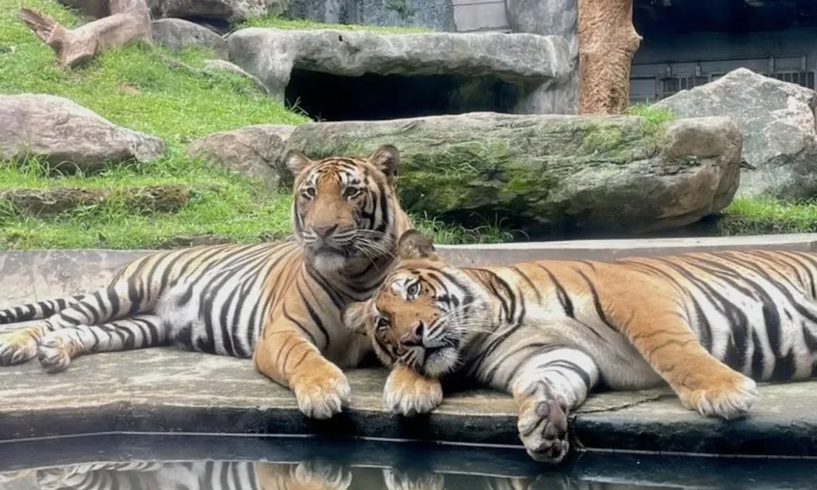 भारत का Oldest zoo, 150 साल पुरानी जगह की दिलचस्प कहानी