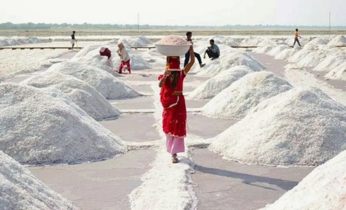 India में उगता है सफेद सोना, नमक से चलती है यहां की दुनिया!