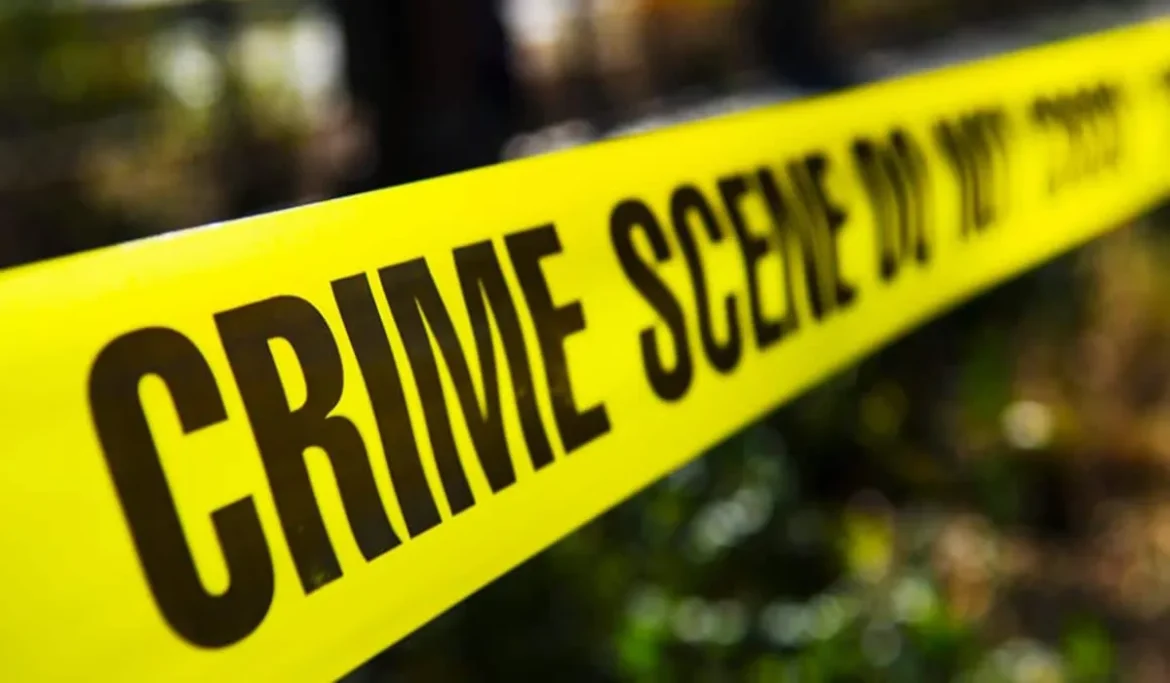 Ashok Vihar Double Murder:सिक्योरिटी ऑफिसर ने की पत्नी और बेटे की हत्या
