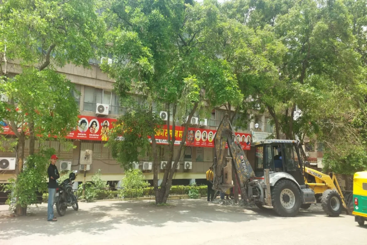 भोपाल में कंक्रीट के चंगुल से आजाद हो रहे पेड़