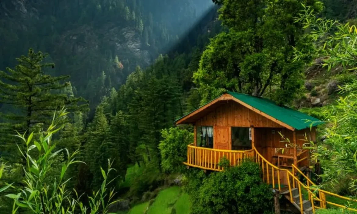 शांति की तलाश है? इन 5 हिडन Hill Stations से हो जाएगा प्यार
