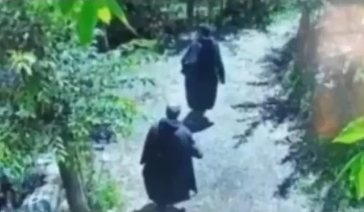 सुरक्षाबलों ने दो आतंकियों को घेरा